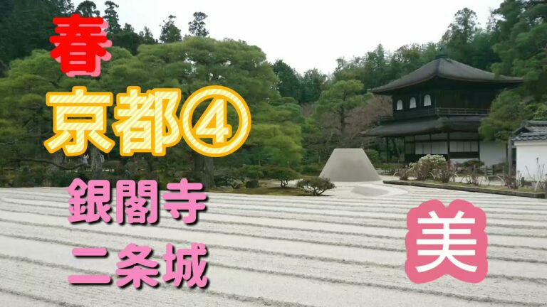 #京都観光 #花 #景色京都【銀閣寺】【二条城】
