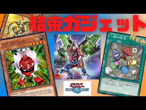 遊戯王デュエルリンクス 一族の結束をガジェットに入れたら攻撃が気持ちいい ラペッシュ