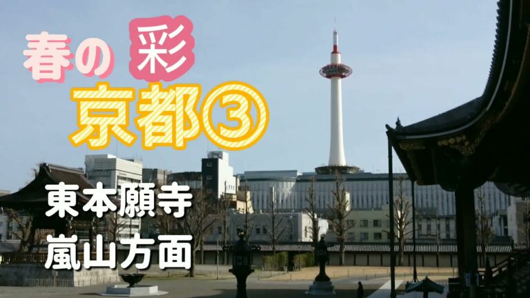 #春 #花 #京都観光【嵐山】