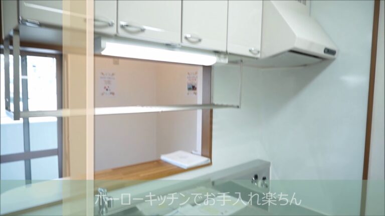 ネクステージカシェット201 動画