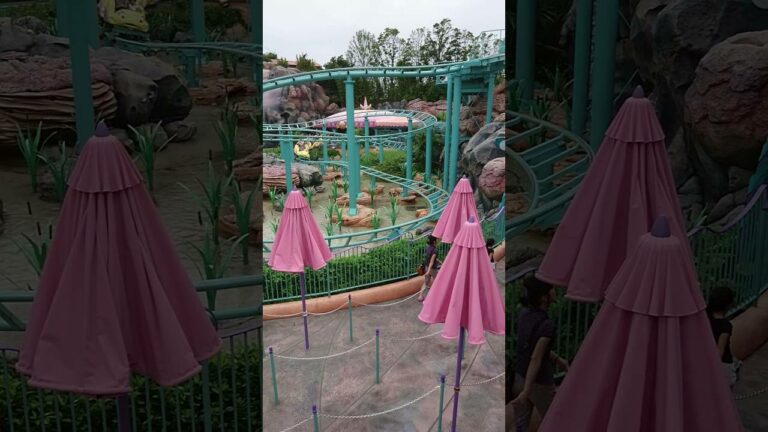 ディズニーシー 《ガジェットのフライングフィッシュコースター》