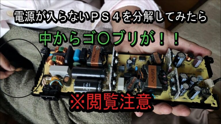 【閲覧注意】壊れたPS4を分解していたら、中からあの虫が!奴らの巣になっているのかも!気を付けて下さい。