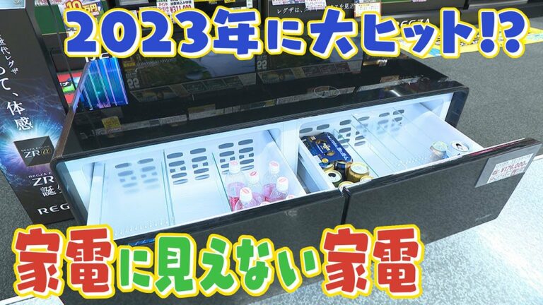 【2023年大ヒット!?】”家電に見えない家電”に注目!インテリアに馴染んで超高性能