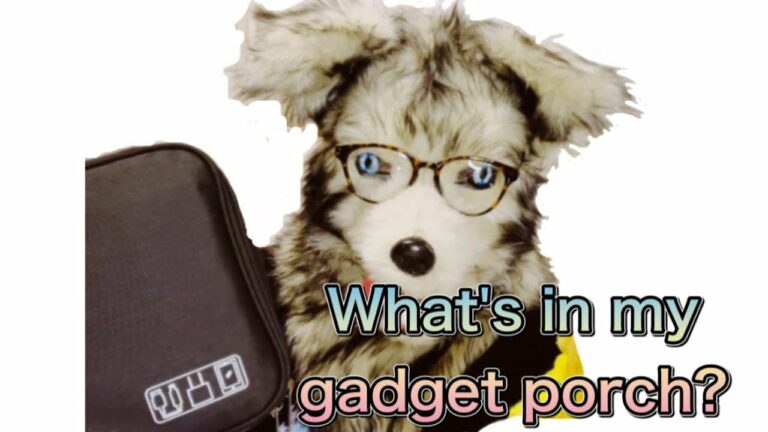 私のガジェットポーチの中身
