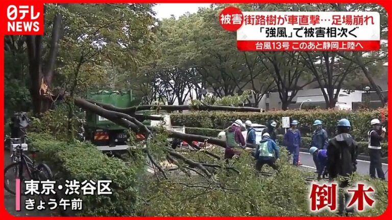 【台風13号】各地で冠水や強風被害 駅の天井から大量の雨水… 街路樹が倒れ車を直撃