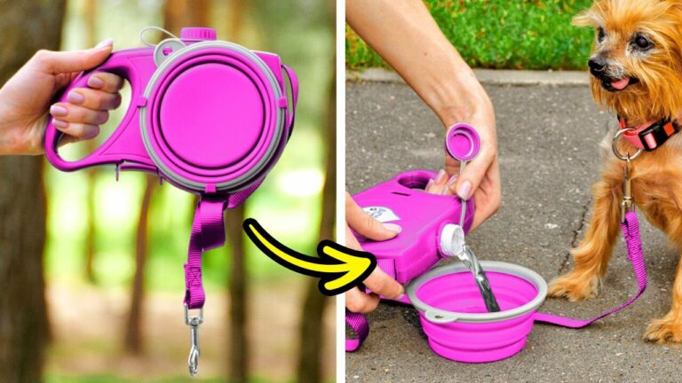 便利で可愛い犬猫用ガジェット