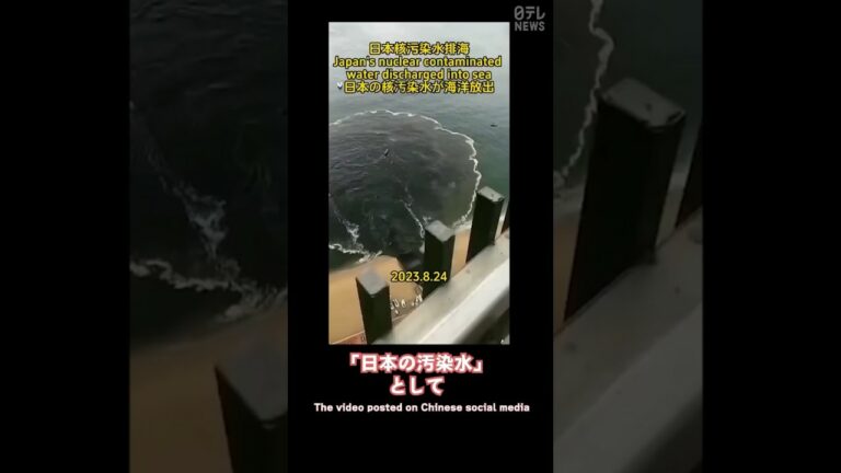 【フェイク】“福島で黒い水” “魚の死骸”…中国のSNSでまん延するデマ #shorts