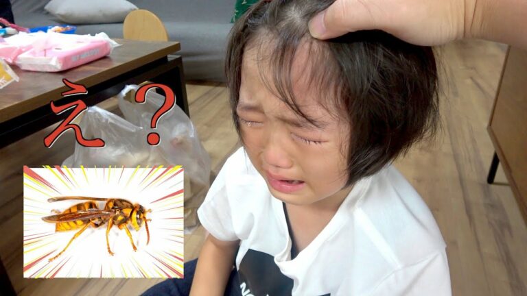 たけるちゃんが大変なことに・・・まさかの兄弟喧嘩2連発><