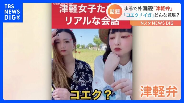 まるで外国語!難解すぎる「津軽弁」の会話が話題沸騰!SNS350万再生!「コエク?」「イガ!」一体どんな意味?|TBS NEWS DIG