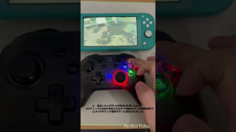 GAMESIR T4 PROの連射機能をSwitchで使用する方法