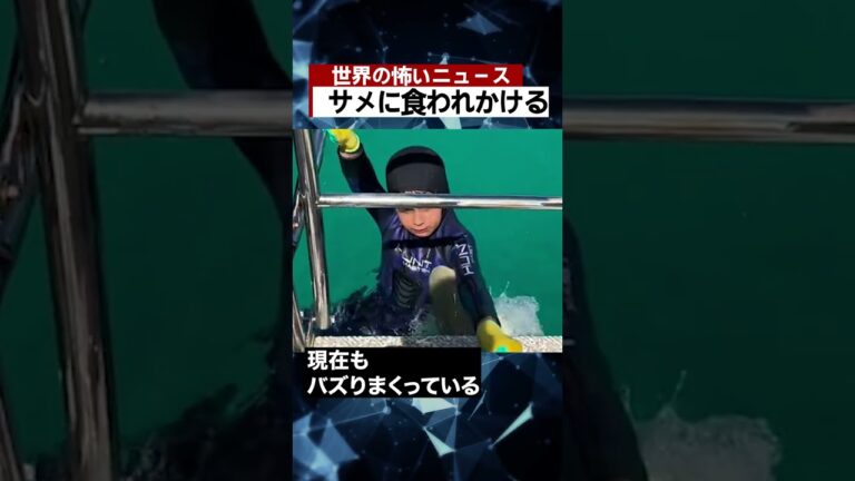 サメに食われかける #海外 #ニュース #怖い話 #怪談 #Shorts