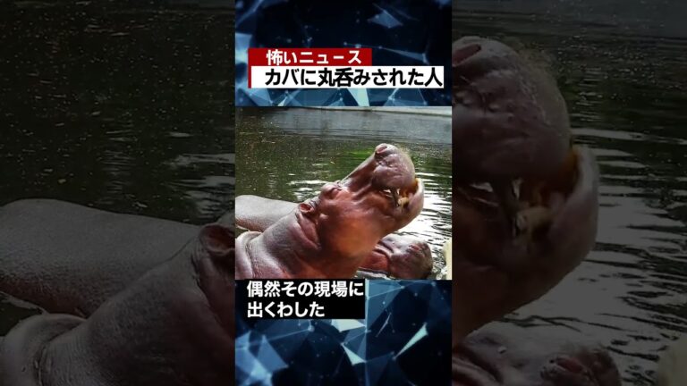 カバに丸呑みされた人 #海外 #ニュース #怖い話 #怪談 #Shorts