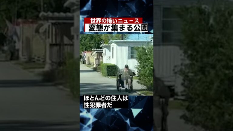 変態が集まる公園 #海外 #ニュース #怖い話 #怪談 #Shorts