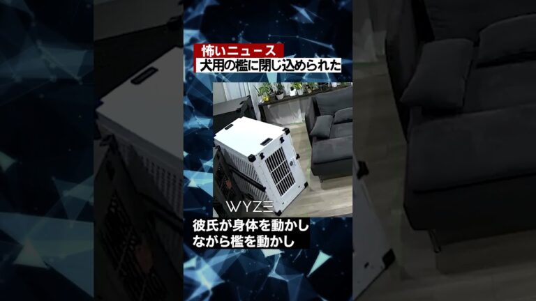 犬用の檻に閉じ込められた #海外 #ニュース #怖い話 #怪談 #Shorts
