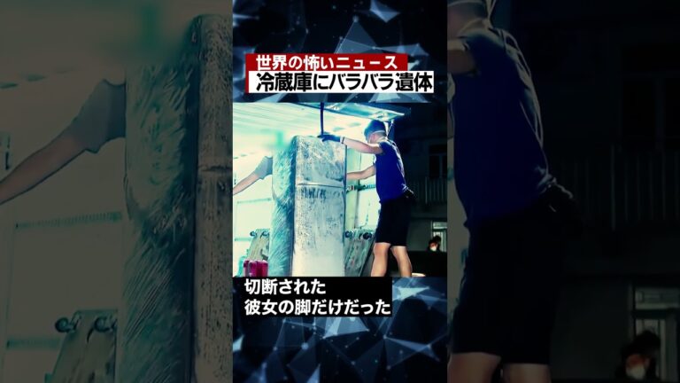 冷蔵庫にバラバラ遺体 #海外 #ニュース #怖い話 #怪談 #Shorts