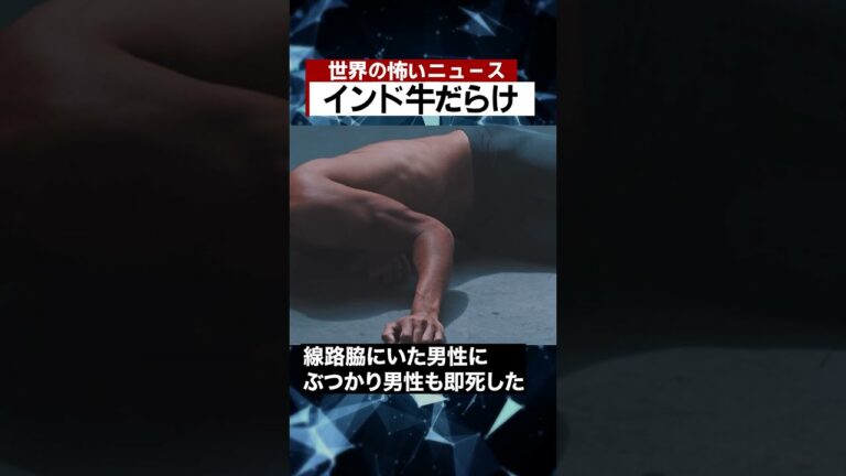 インド牛だらけ #海外 #ニュース #怖い話 #怪談 #Shorts