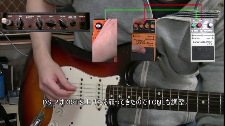 【比較レビュー】DS-1 vs DS-2「こんな違いがあったとは!」