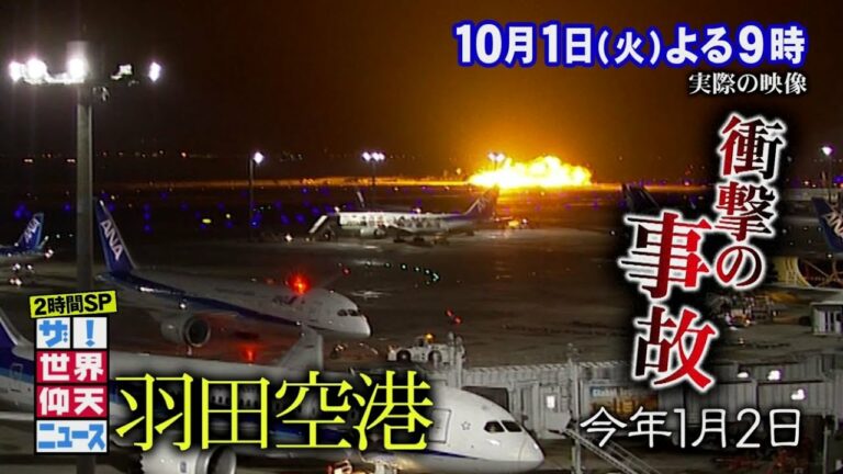 【公式】ザ!世界仰天ニュース!航空機事故2時間スペシャル!