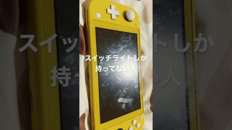 スイッチライトしか持ってない人