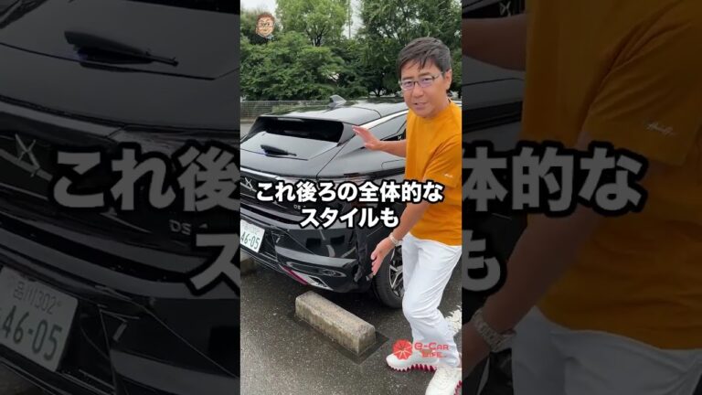 センスよく見られたい?  オシャレ度満点♬ カッコ良い♬ DS4  E-CarLife with 五味やすたか