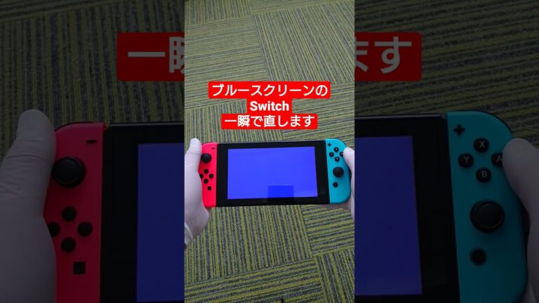 ブルスクのSwitchを一瞬で直す