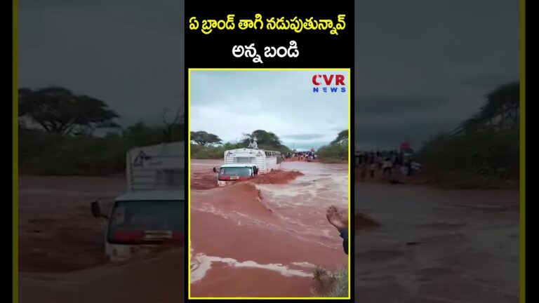 ఏ బ్రాండ్ తాగి నడుపుతున్నావ్ అన్న బండి | Van Driver Driving | CVR News