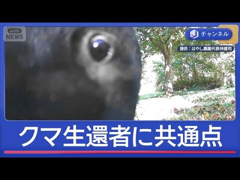クマ被害者語る“生死分けた行動”は?【スーパーJチャンネル】(2025年10月22日)