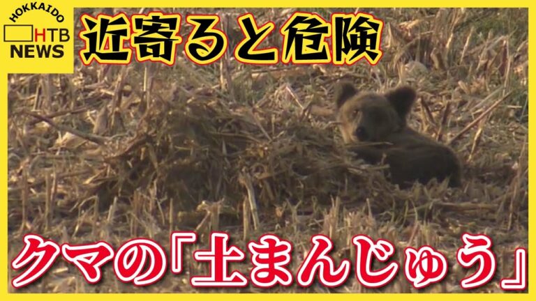 【危険】シカ食べるクマ 「土まんじゅう」近くに潜んでいることも 獲物を隠し繰り返し食べる習性